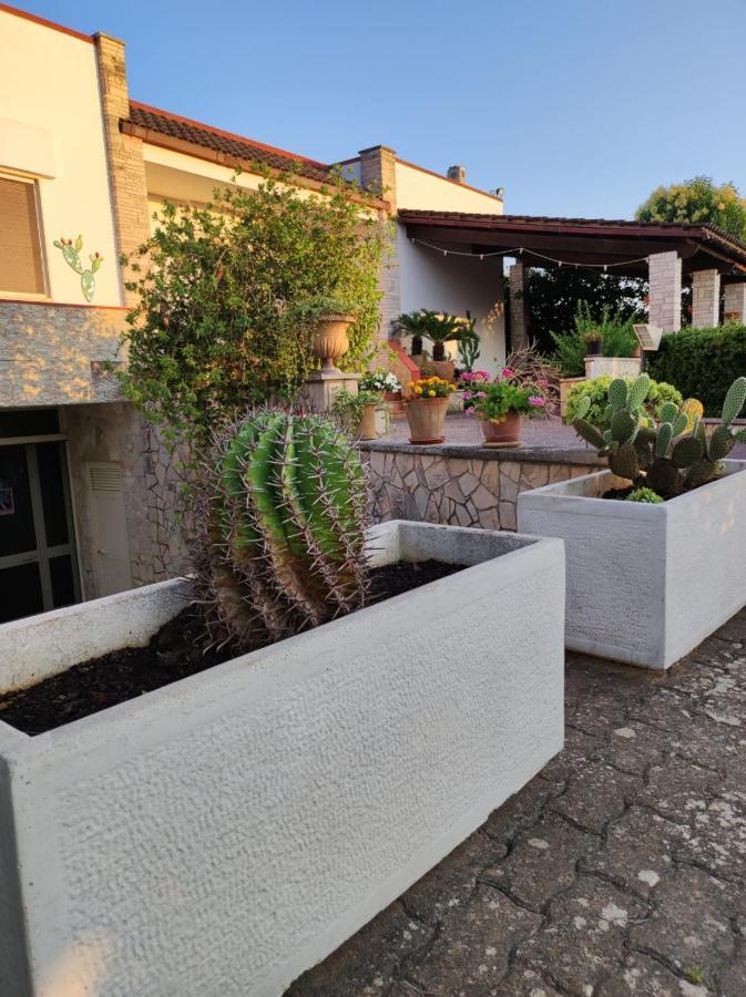 Contrada Macchia B&B Tricase Dış mekan fotoğraf