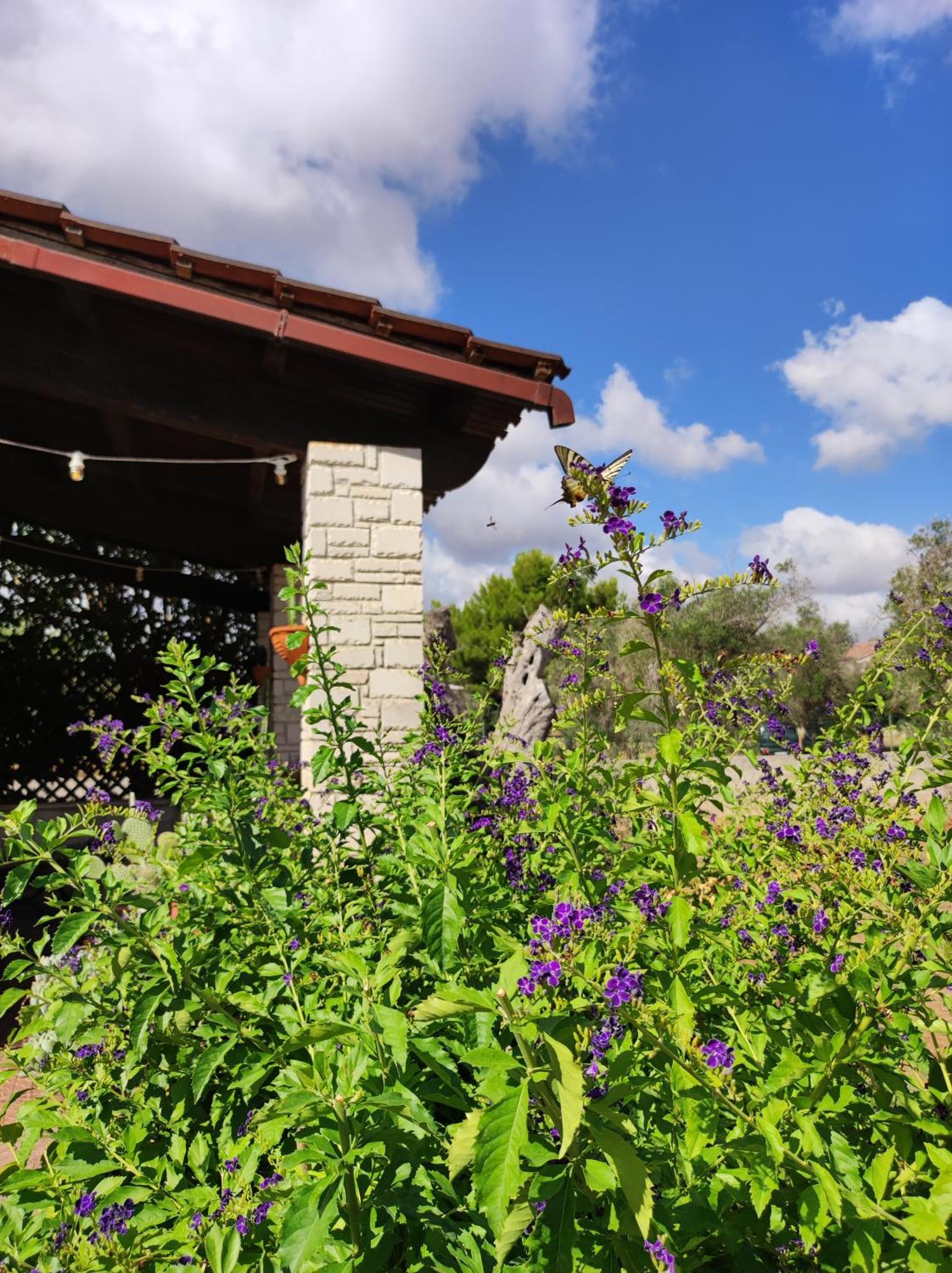Contrada Macchia B&B Tricase Dış mekan fotoğraf